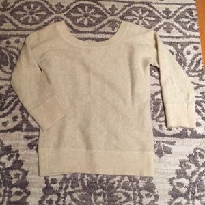 Sparkly Banana Republic sweater ❄️